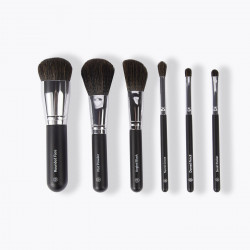 BH Cosmetics Mini Essentials 6pc Travel Size Brush Set with Bag